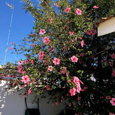 Casa Bungalow Aldea Del Coto Holiday home Chiclana de la Frontera